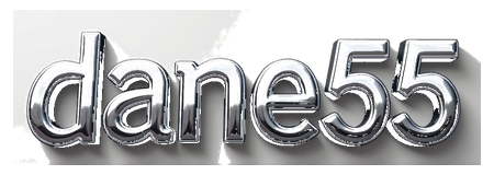 dane55 logo